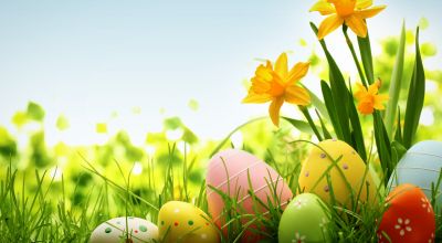 Führungskraft in der Pflege