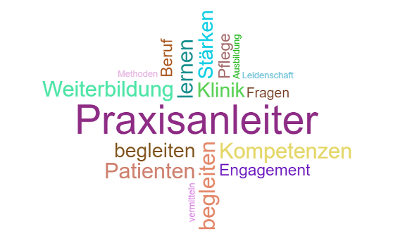 Grafik zu Praxisanleiter